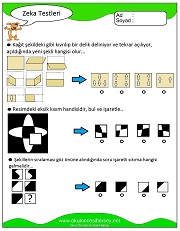 Zeka Gelişim Testleri